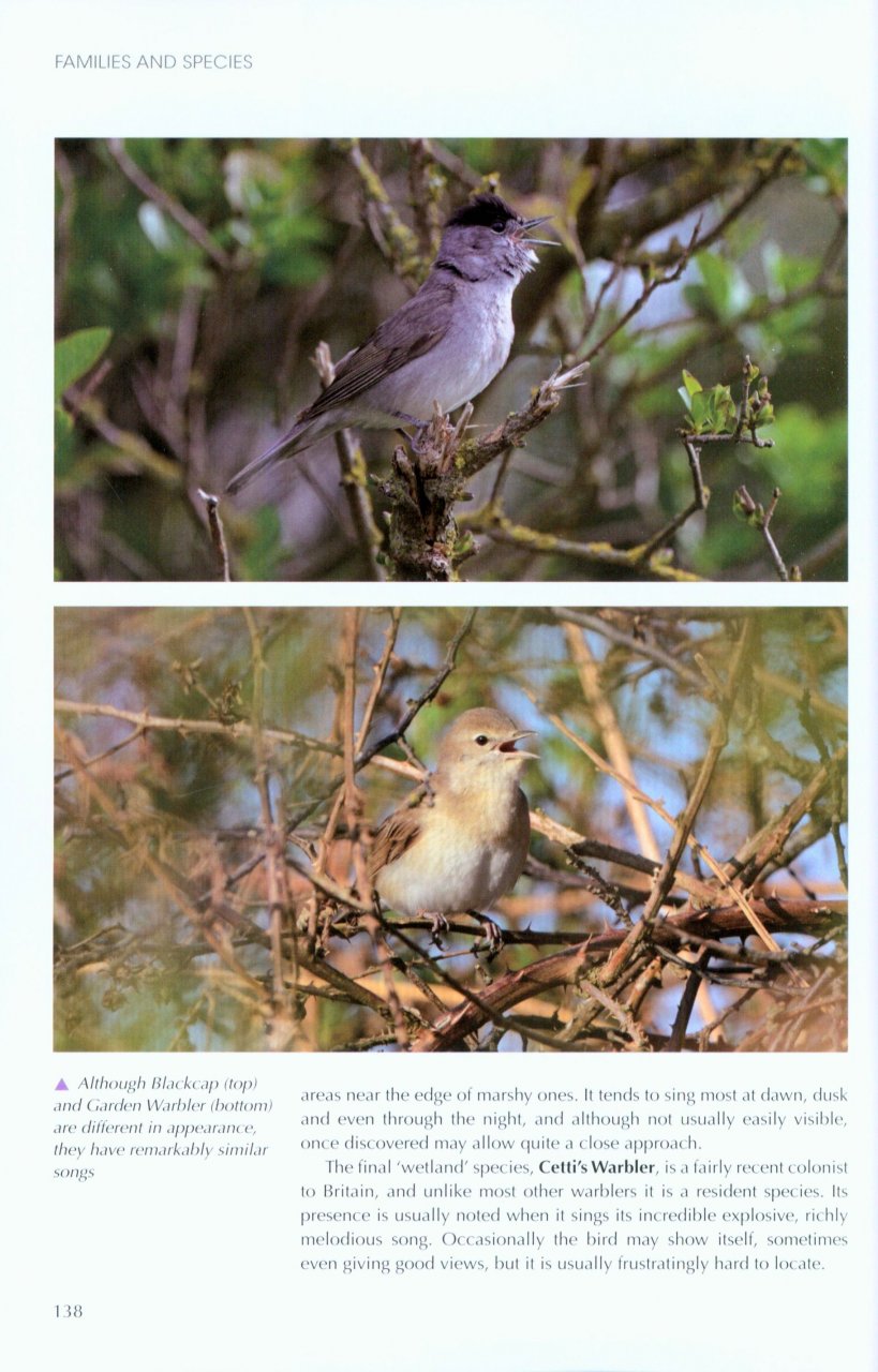 UNDERSTANDING BIRD BEHAVIOUR 5