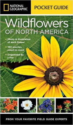 NATIONAL GEOGRAPHIC POCKET GUIDE. WILDFLOWERS OF NORTH AMERICA