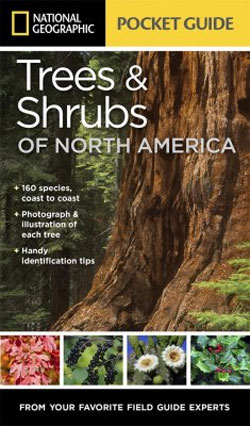 NATIONAL GEOGRAPHIC POCKET GUIDE. TREES & SHRUBS OF NORTH AMERICA 1