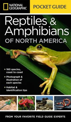 NATIONAL GEOGRAPHIC POCKET GUIDE. REPTILES & AMPHIBIANS OF NORTH AMERICA