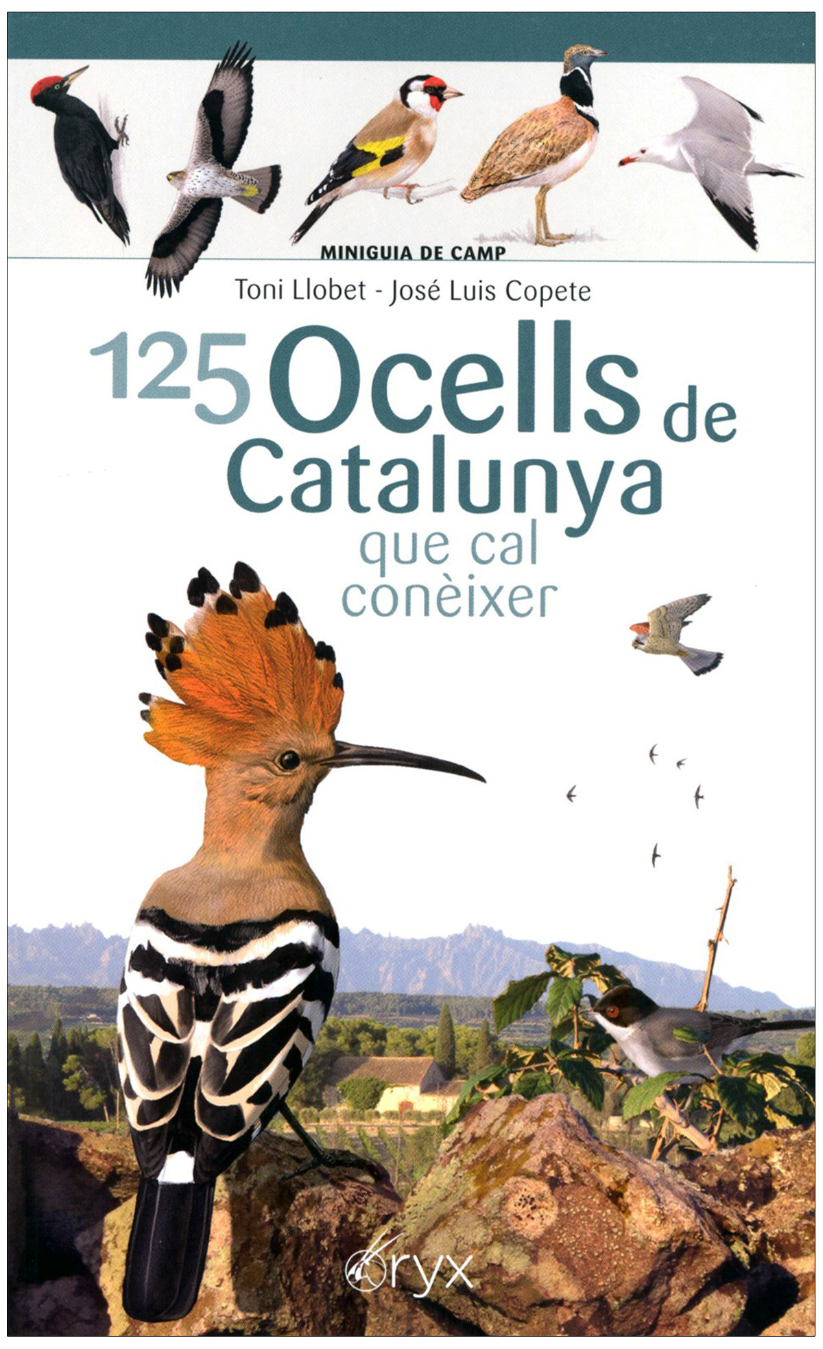 125 OCELLS DE CATALUNYA QUE CAL CONÈIXER. MINIGUIA DE CAMP 1