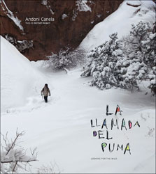 LA LLAMADA DEL PUMA. LOOKING FOR THE WILD