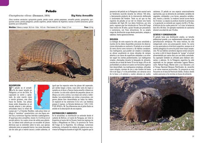 MAMÍFEROS TERRESTRES PATAGONIA SUR DE ARGENTINA Y CHILE 3