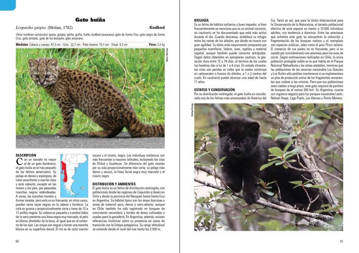 MAMÍFEROS TERRESTRES PATAGONIA SUR DE ARGENTINA Y CHILE 2