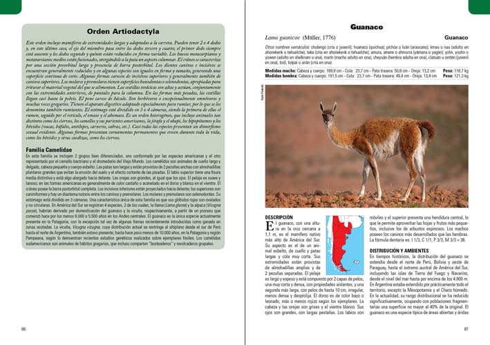 MAMÍFEROS TERRESTRES PATAGONIA SUR DE ARGENTINA Y CHILE 5