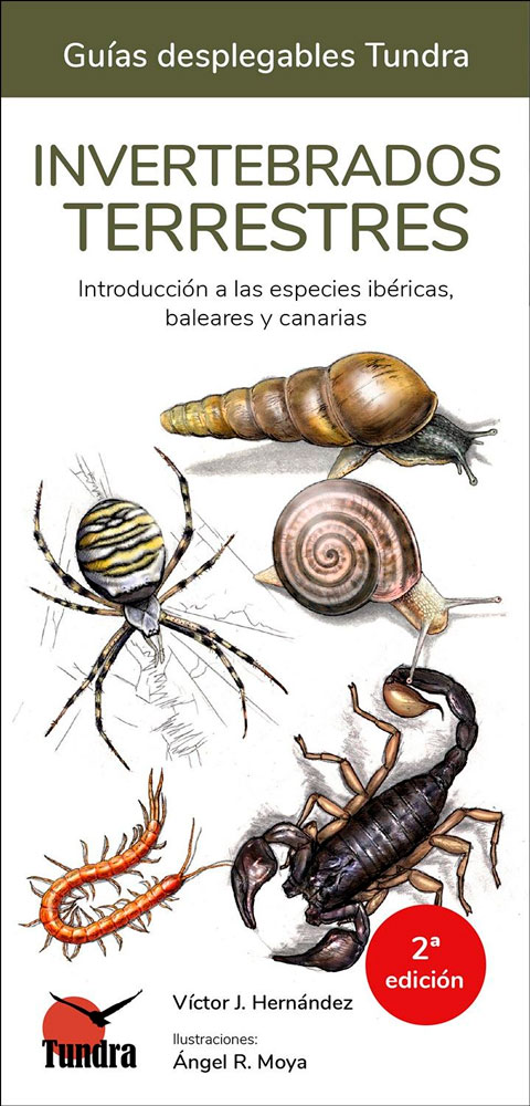 INVERTEBRADOS TERRESTRES. INTRODUCCIÓN A LAS ESPECIES IBÉRICAS, BALEARES Y CANARIAS. GUÍAS DESPLEGABLES TUNDRA