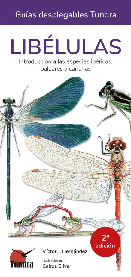 LIBÉLULAS. INTRODUCCIÓN A LAS ESPECIES IBÉRICAS, BALEARES Y CANARIAS. GUÍAS DESPLEGABLES TUNDRA