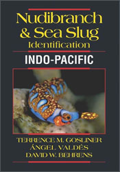 NUDIBRANCH & SEA SLUG IDENTIFICATION. INDO PACIFIC