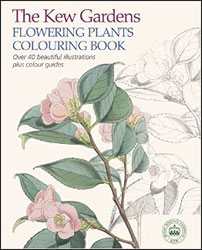 THE KEW GARDENS FLOWERING PLANTS COLOURING BOOK. OVER 40 BEAUTIFUL ILLUSTRATIONS PLUS COLOUR GUIDES 1