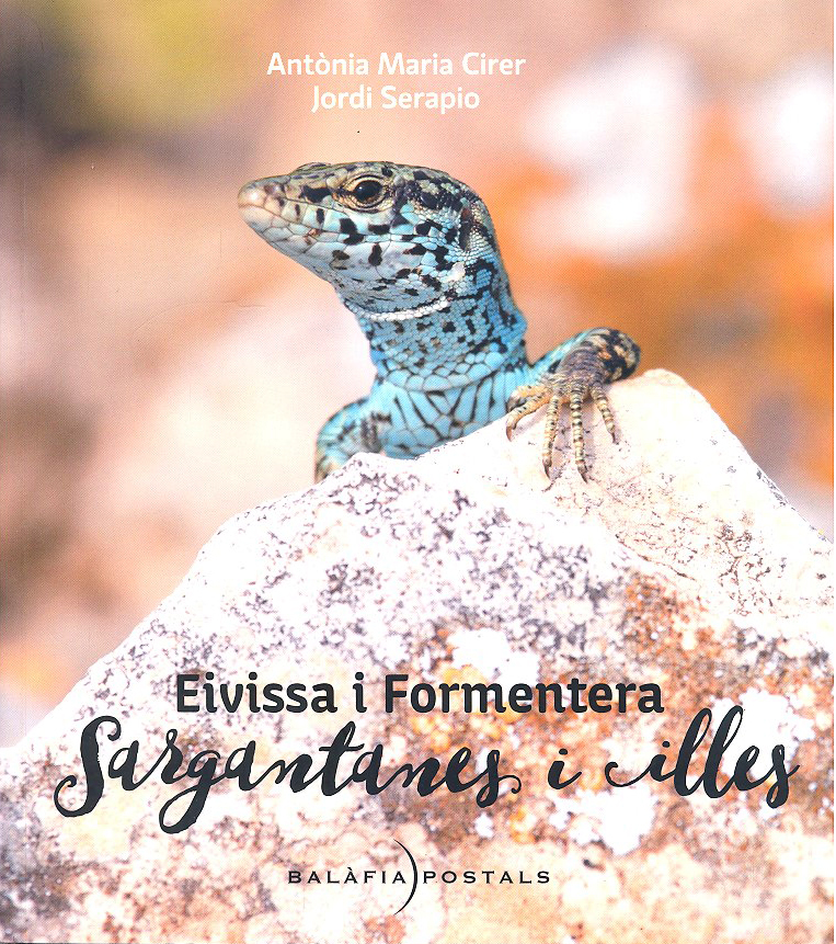 EIVISSA I FORMENTERA. SARGANTANES I ILLES