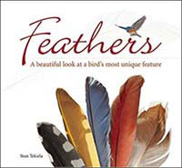FEATHERS: A BEAUTIFUL LOOK AT BIRD'S MOST UNIQUE FEATURE 1