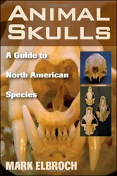 ANIMAL SKULLS: A GUIDE TO NORTH AMERICAN SPECIES 1