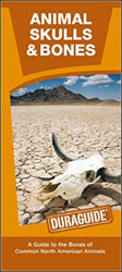 ANIMAL SKULLS & BONES: A WATERPROOF POCKET GUIDE TO THE BONES OF COMMON NORTH AMERICAN ANIMALS 1