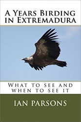 A YEARS BIRDING IN EXTREMADURA, WHAT TO SEE AND WHEN TO SEE IT