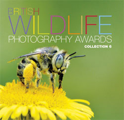 BRITISH WILDLIFE PHOTOGRAPHY AWARDS. COLLECTION 6 1