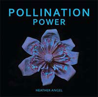 POLLINATION POWER 1