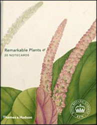 REMARKABLE PLANTS. 20 NOTECARDS 1