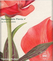REMARKABLE PLANTS IN 30 POSTCARDS 1