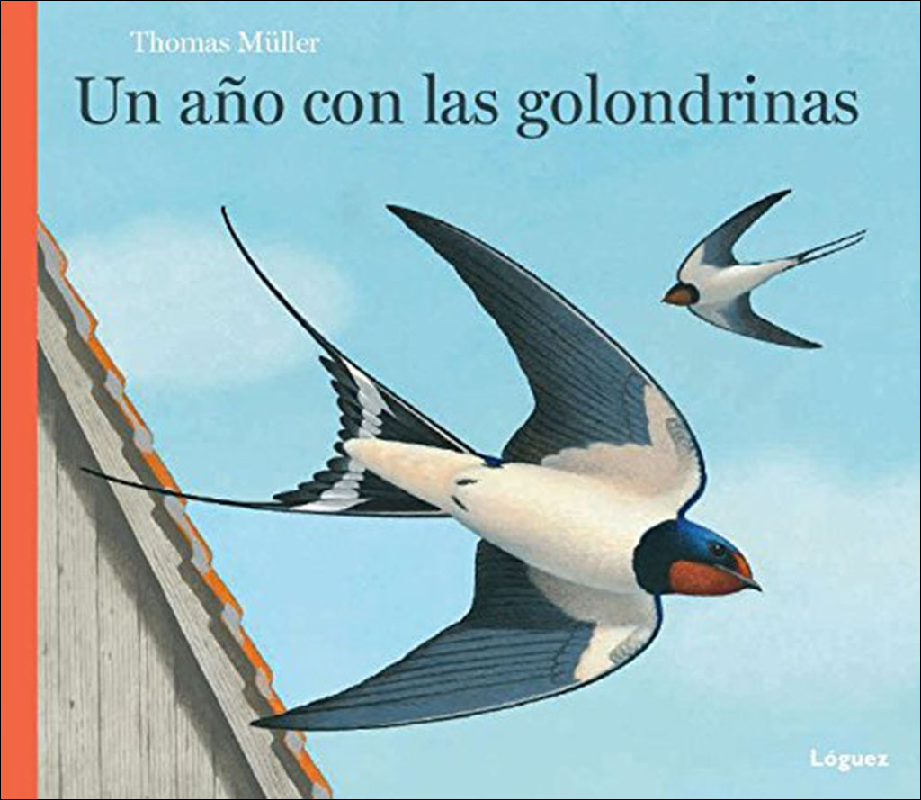 UN AÑO CON LAS GOLONDRINAS 1