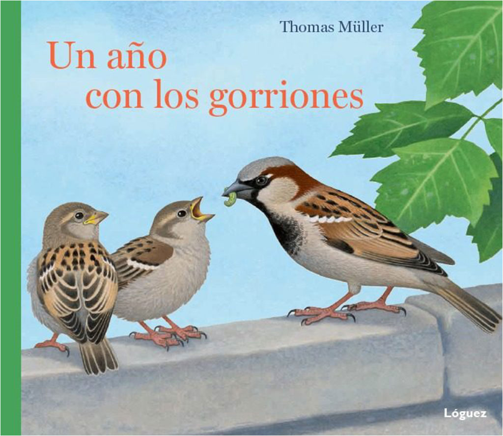 UN AÑO CON LOS GORRIONES 1