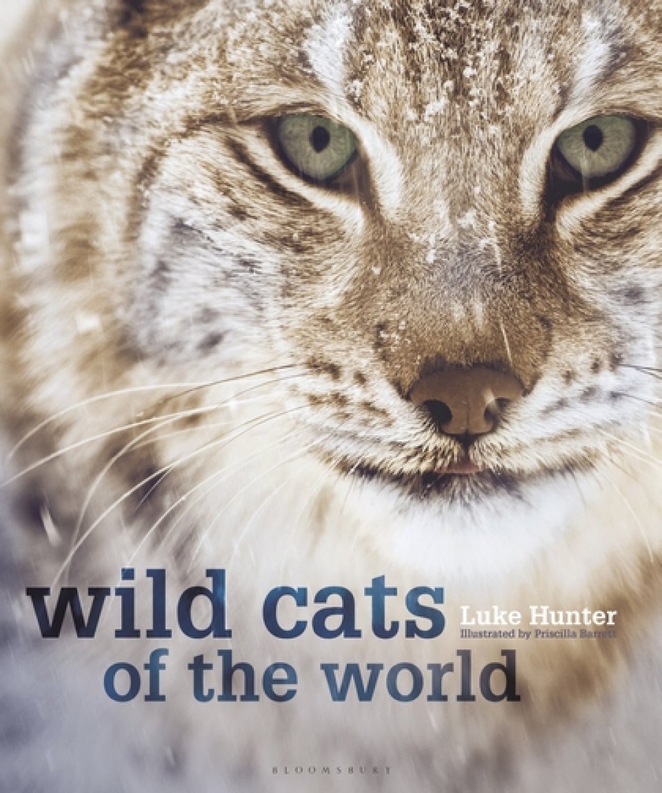 WILD CATS OF THE WORLD 1