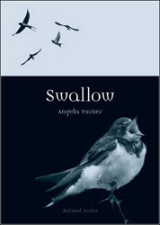 SWALLOW