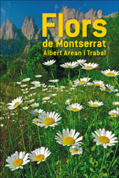 FLORS DE MONTSERRAT 1