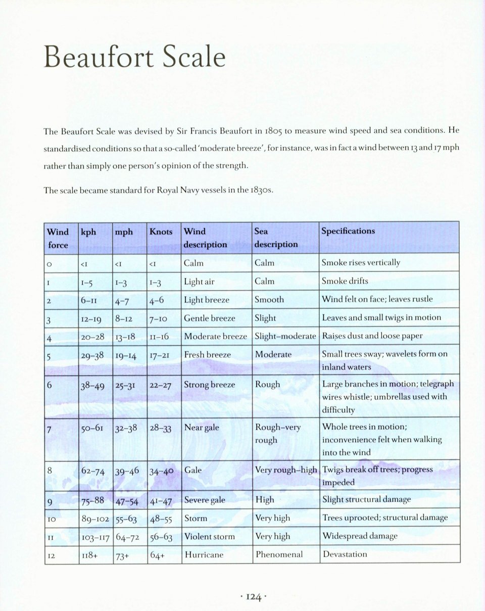 AN ILLUSTRATED COASTAL YEAR. THE SEASHORE UNCOVERED SEASON BY SEASON 4