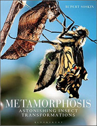 METAMORPHOSIS. ASTONISHING INSECT TRANSFORMATIONS 1