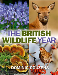 THE BRITISH WILDLIFE YEAR 1