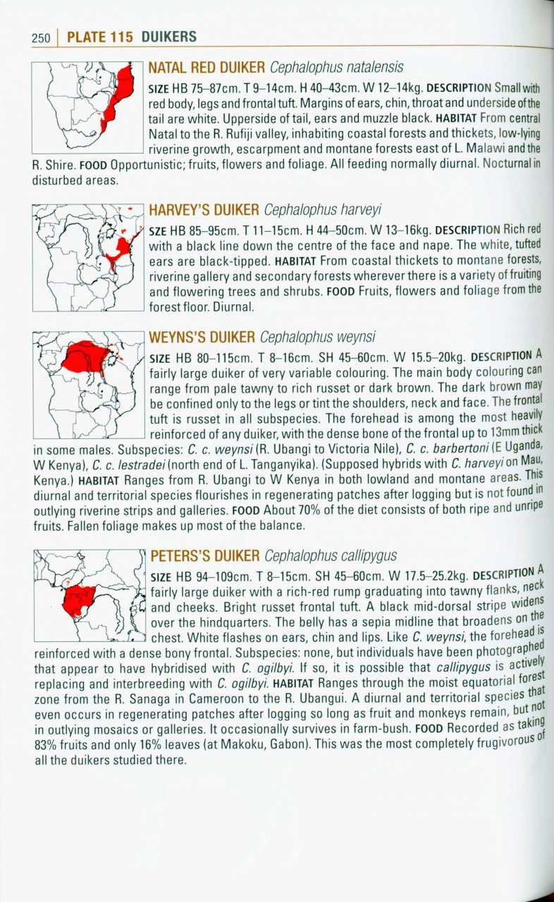 THE KINGDON POCKET GUIDE TO AFRICAN MAMMALS 4