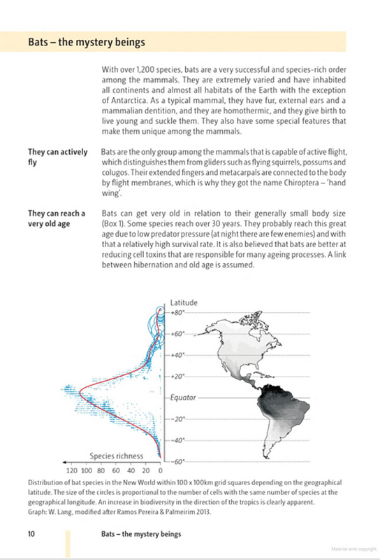 BATS OF BRITAIN AND EUROPE 2