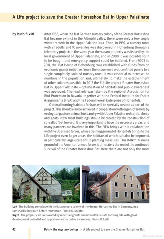 BATS OF BRITAIN AND EUROPE 4