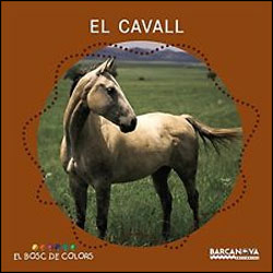 EL CAVALL. EL BOSC DE COLORS