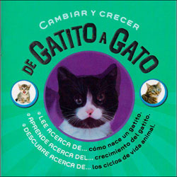 CAMBIAR Y CRECER. DE GATITO A GATO