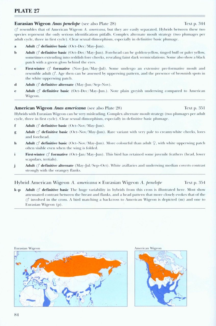 WILDFOWL OF EUROPE, ASIA AND NORTH AMERICA 4