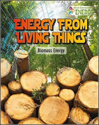 ENERGY FROM LIVING THINGS. BIOMASS ENERGY 1