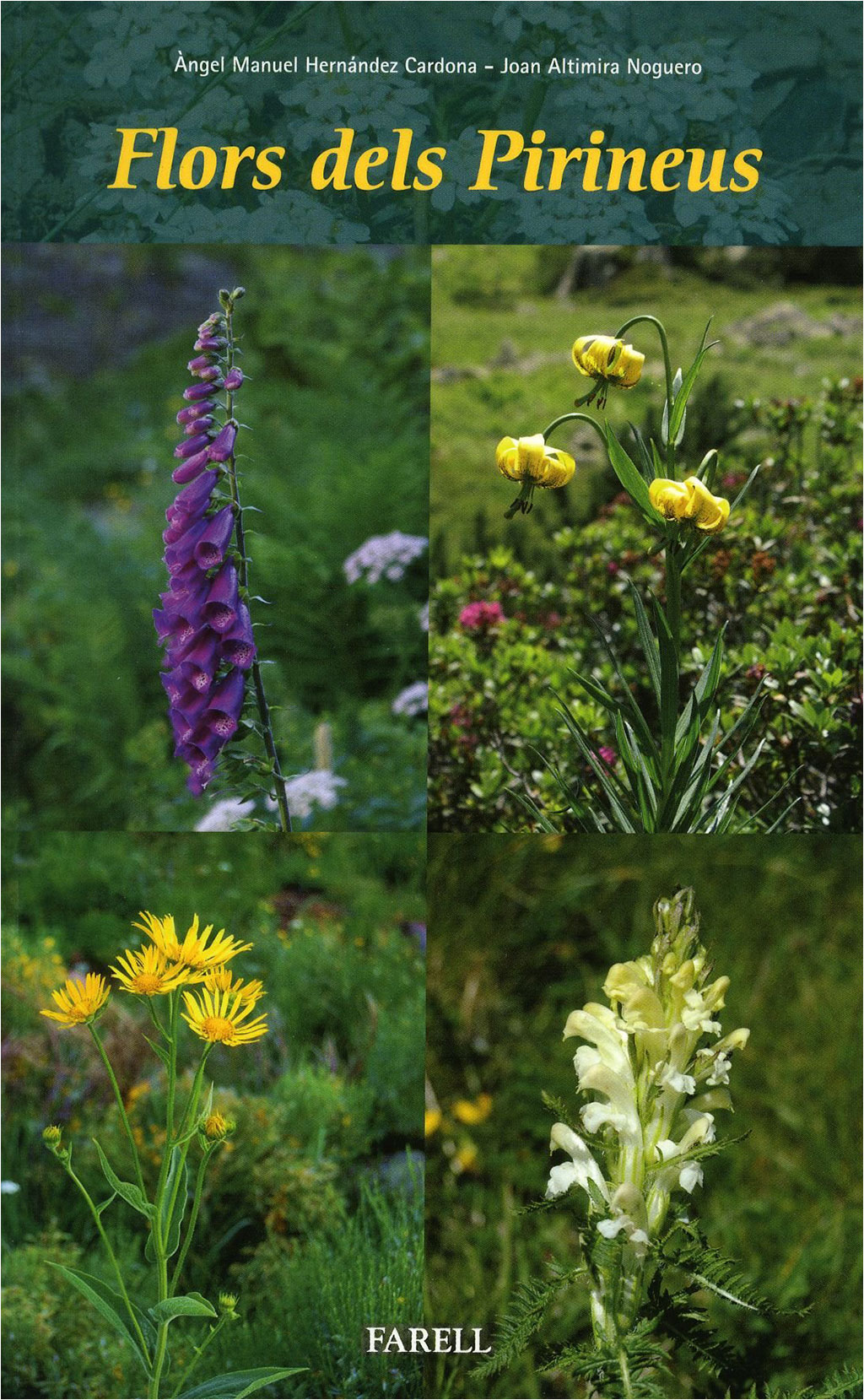 FLORS DELS PIRINEUS