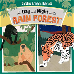A DAY AND NIGHT IN THE RAIN FOREST