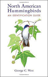 NORTH AMERICAN HUMMINGBIRDS. AN IDENTIFICATION GUIDE