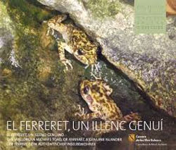 EL FERRERET, UN ILLENC GENUÍ 1