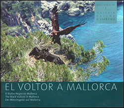 EL VOLTOR A MALLORCA