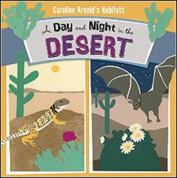 A DAY AND NIGHT IN THE DESERT 1