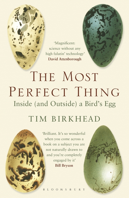 THE MOST PERFECT THING. INSIDE (AND OUTSIDE) A BIRD'S EGG 1