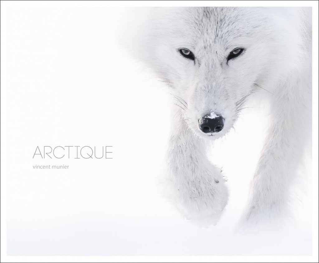 ARCTIQUE