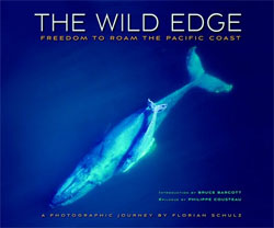 THE WILD EDGE