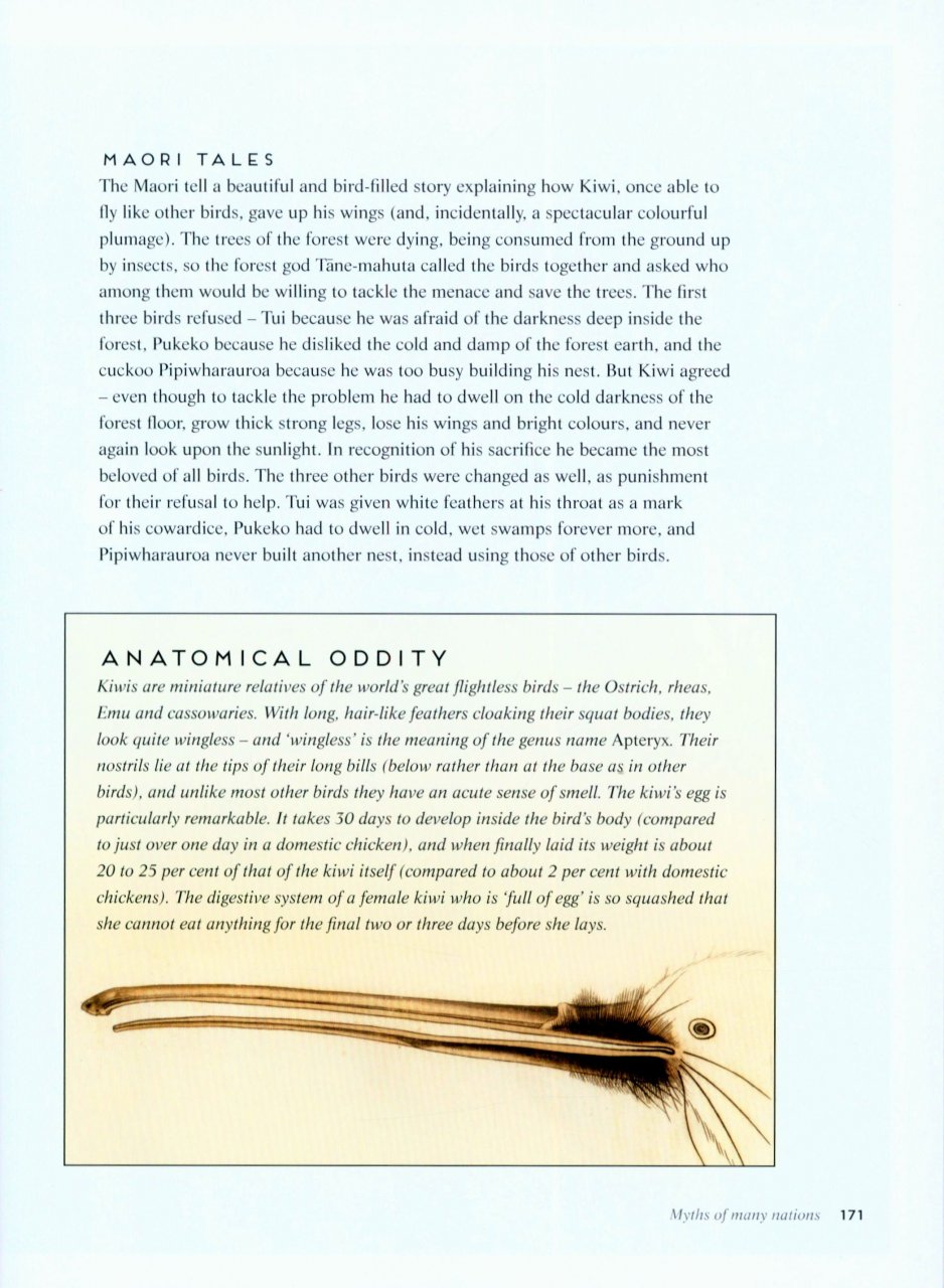 BIRDS: MYTH, LORE AND LEGEND 4