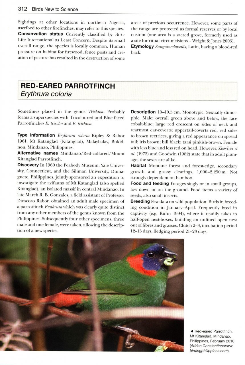 BIRDS NEW TO SCIENCE: 50 YEARS OF AVIAN DISCOVERIES 5