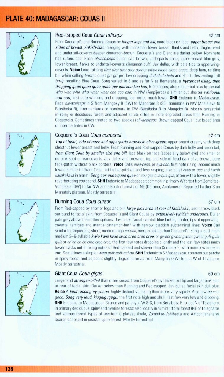 HELM FIELD GUIDES. BIRDS OF MADAGASCAR AND THE INDIAN OCEAN ISLANDS 3