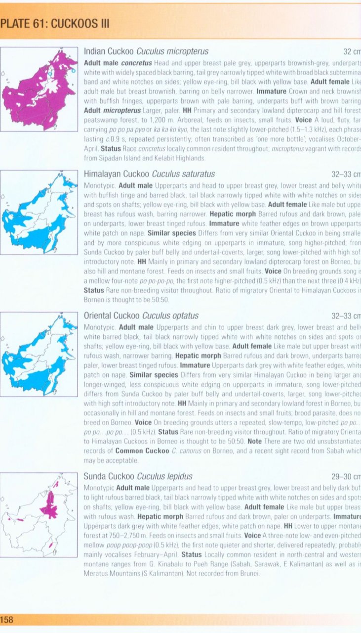 HELM FIELD GUIDES. BIRDS OF BORNEO 4